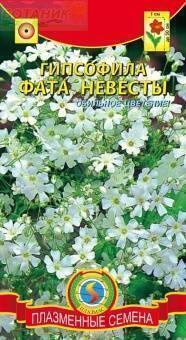 Купить оптом в Ботанике семена Гипсофила Фата невесты* Плз бренд Плазмас
