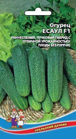 Купить оптом в Ботанике семена Огурец Есаул F1 УД бренд Уральский дачник