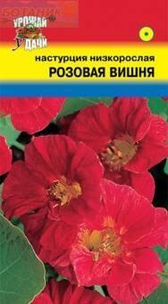 Купить оптом в Ботанике семена Настурция Розовая вишня УУ бренд Урожай Удачи