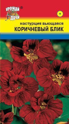 Купить оптом в Ботанике семена Настурция Коричневый блик УУ бренд Урожай Удачи