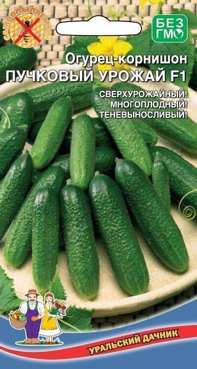 Купить оптом в Ботанике семена Огурец Пучковый урожай F1 УД бренд Уральский дачник