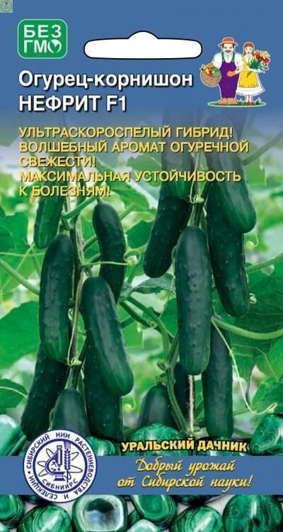 Купить оптом в Ботанике семена Огурец Нефрит F1 УД бренд Уральский дачник