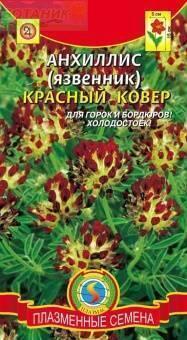 Купить оптом в Ботанике семена Анхиллис Красный ковер язвенник Плз бренд Плазмас