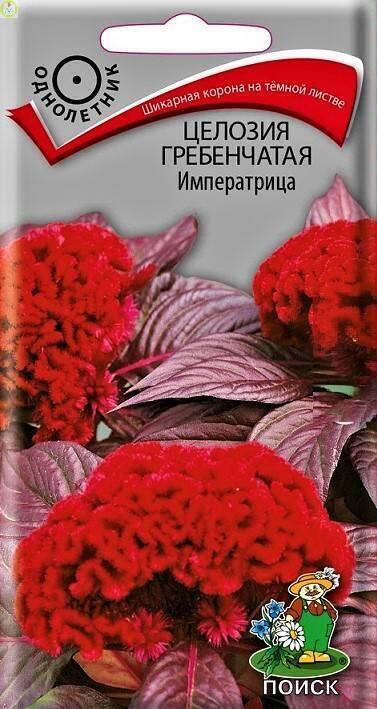 Купить оптом в Ботанике семена Целозия Императрица гребенчатая Поиск бренд Поиск