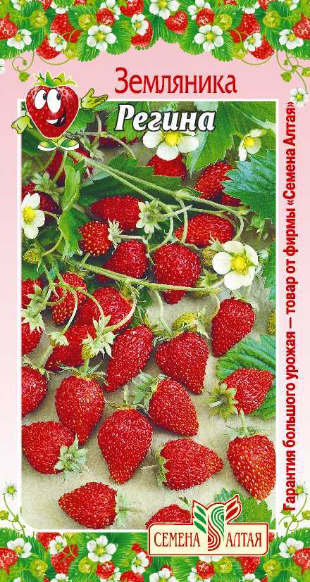 Купить оптом в Ботанике семена Земляника Регина СА бренд Семена Алтая