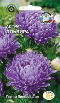 Купить оптом в Ботанике семена Астра Эльвира Сед бренд СеДеК