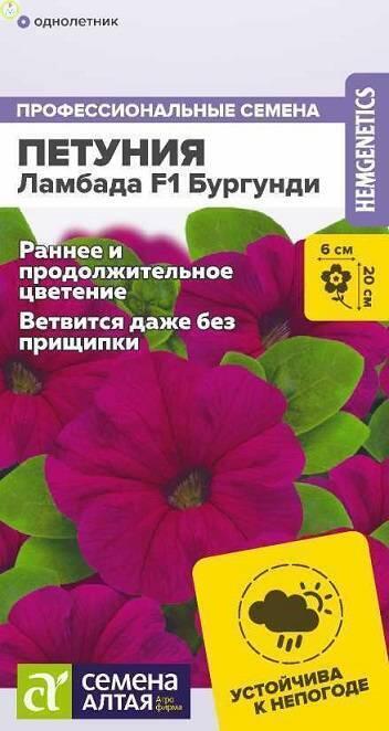 Купить оптом в Ботанике семена Петуния Ламбада Бургунди F1 СА бренд Семена Алтая