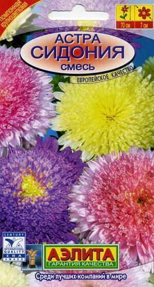 Купить оптом в Ботанике семена Астра Сидония фиолетовая Аэл бренд Аэлита