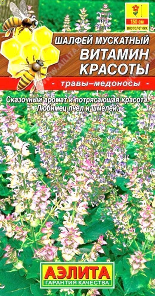 Купить оптом в Ботанике семена Шалфей Витамин красоты мускатный Аэл бренд Аэлита