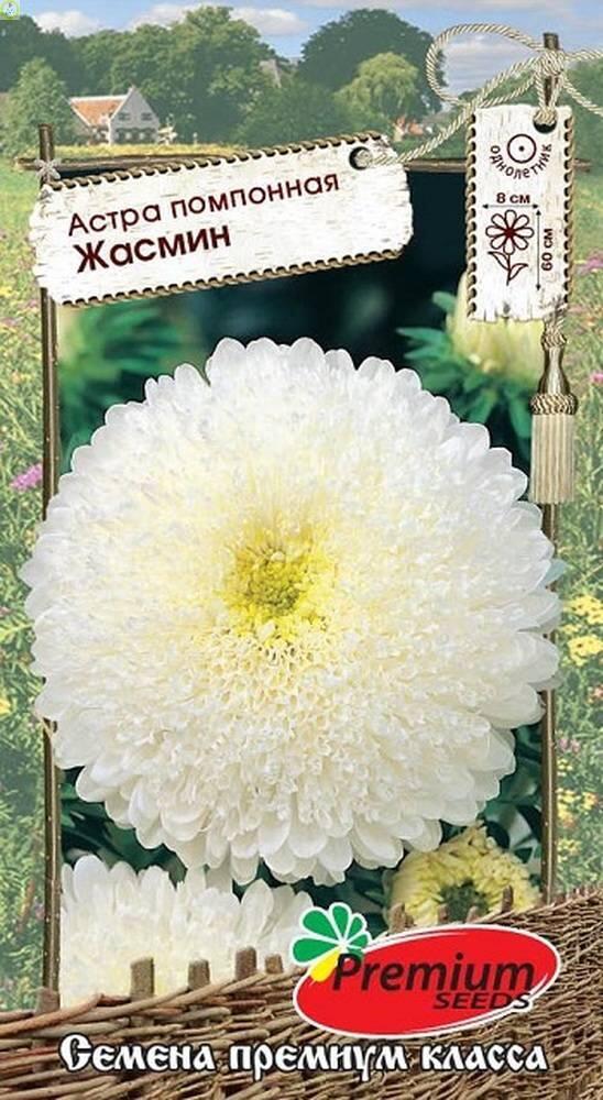 Купить оптом в Ботанике семена Астра Жасмин помпонная ПС бренд Премиум Сидс