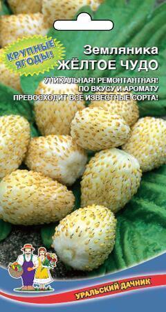 Купить оптом в Ботанике семена Земляника Желтое чудо ремонтатная УД бренд Уральский дачник