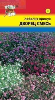 Купить оптом в Ботанике семена Лобелия Дворец смесь УУ бренд Урожай Удачи