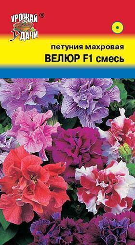 Купить оптом в Ботанике семена Петуния Велюр F1 УУ бренд Урожай Удачи