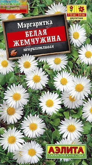 Купить оптом в Ботанике семена Маргаритка Белая жемчужина Аэл бренд Аэлита