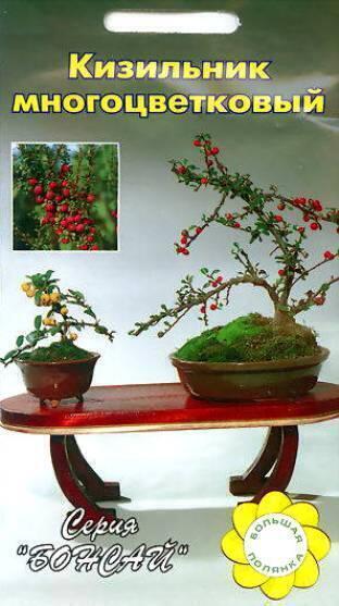Купить оптом в Ботанике семена Кизильник Многоцветковый УУ бренд Урожай Удачи
