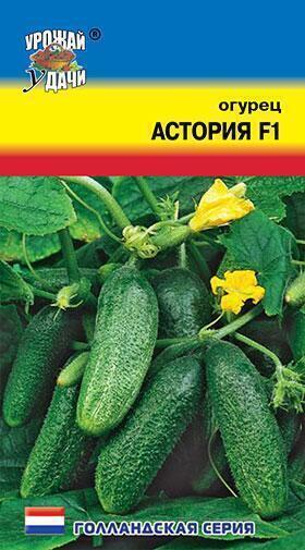 Купить оптом в Ботанике семена Огурец Астория F1 УУ бренд Урожай Удачи