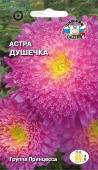 Купить оптом в Ботанике семена Астра Душечка Сед бренд СеДеК