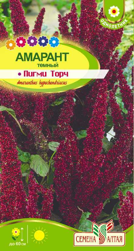 Купить оптом в Ботанике семена Амарант Пигми Торч темный СА бренд Семена Алтая