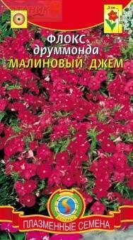 Купить оптом в Ботанике семена Флокс Малиновый джем друммонда Плз бренд Плазмас