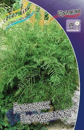 Купить оптом в Ботанике Щитовник Линеарис Полидактила 1 шт