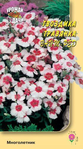 Купить оптом в Ботанике семена Гвоздика травянка Вайт-ред УУ бренд Урожай Удачи