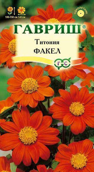 Купить оптом в Ботанике семена Титония Факел Гав бренд Гавриш