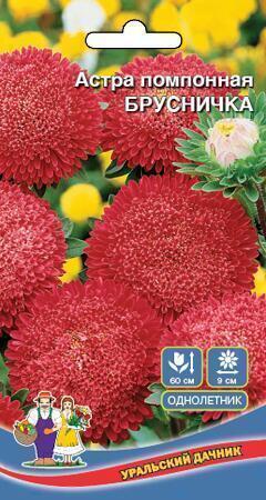 Купить оптом в Ботанике семена Астра Брусничка помпонная УД бренд Уральский дачник