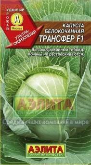 Купить оптом в Ботанике семена Капуста белокочанная Трансфер F1 Аэл бренд Аэлита