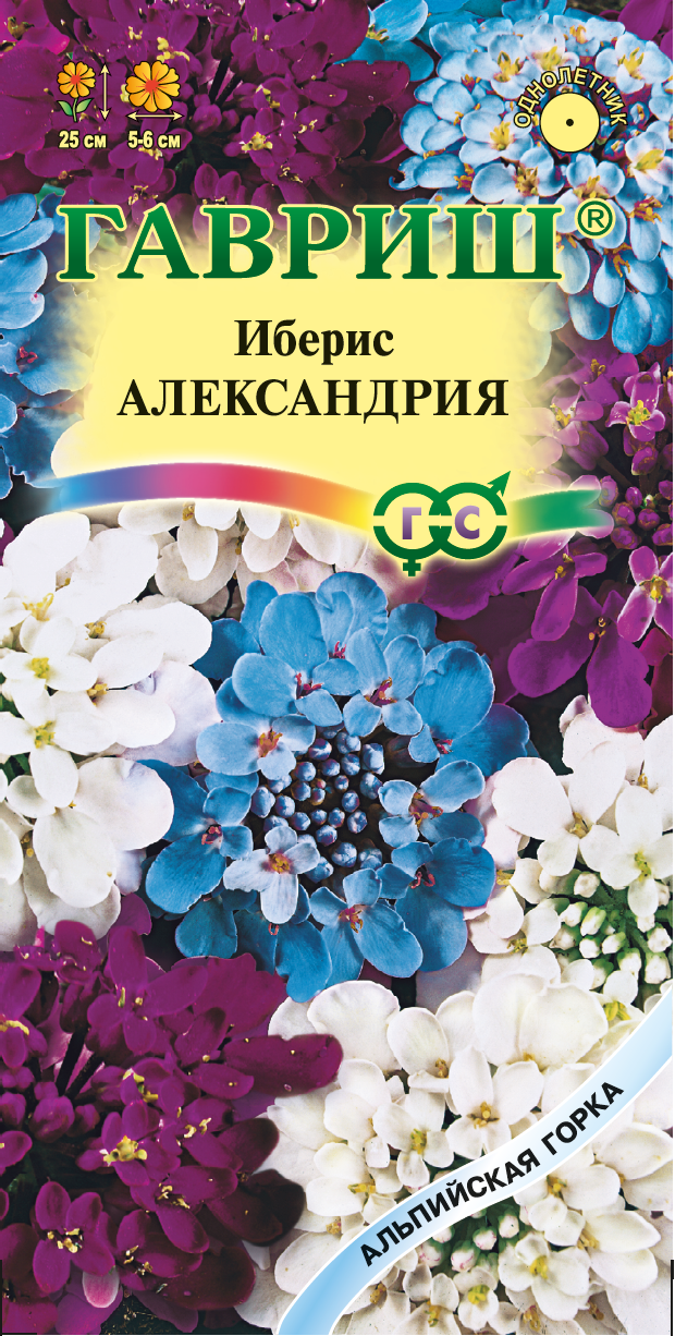 Купить оптом в Ботанике семена Иберис Александрия Гав бренд Гавриш