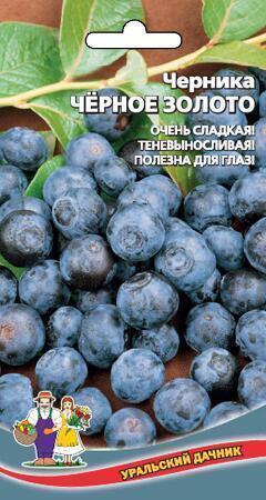 Купить оптом в Ботанике семена Черника Черное золото УД бренд Уральский дачник