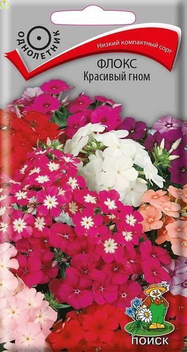Купить оптом в Ботанике семена Флокс Красивый гном Поиск бренд Поиск