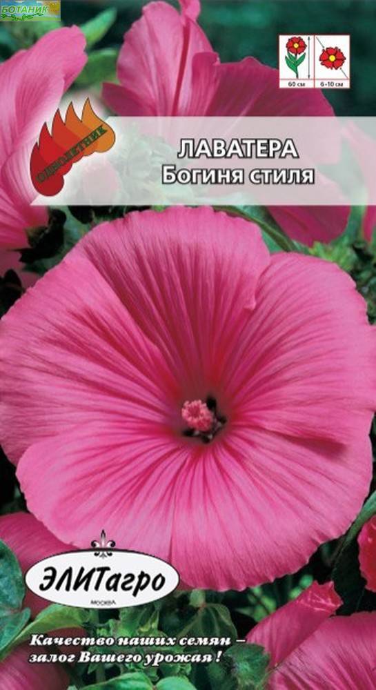 Купить оптом в Ботанике семена Лаватера Богиня стиля Аэл бренд Аэлита