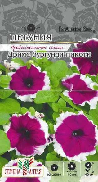 Купить оптом в Ботанике семена Петуния Дримс бургунди пикоти СА бренд Семена Алтая
