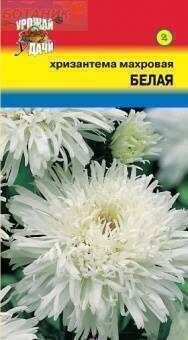Купить оптом в Ботанике семена Хризантема Белая махровая УУ бренд Урожай Удачи