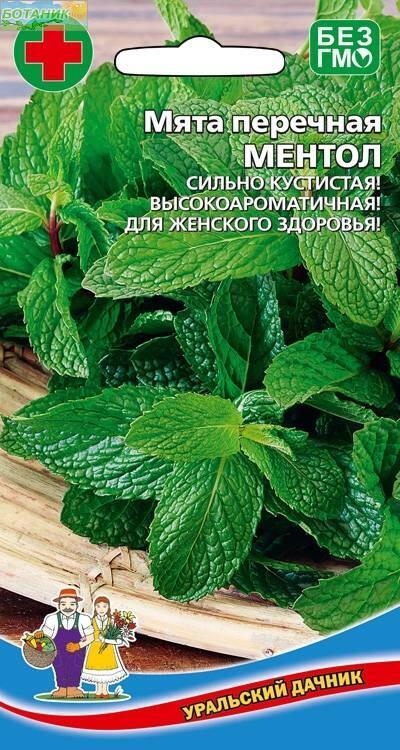 Купить оптом в Ботанике семена Мята Ментол перечная УД бренд Уральский дачник