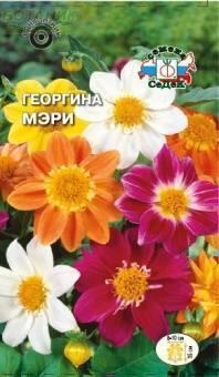 Купить оптом в Ботанике семена Георгина Мэри Сед бренд СеДеК