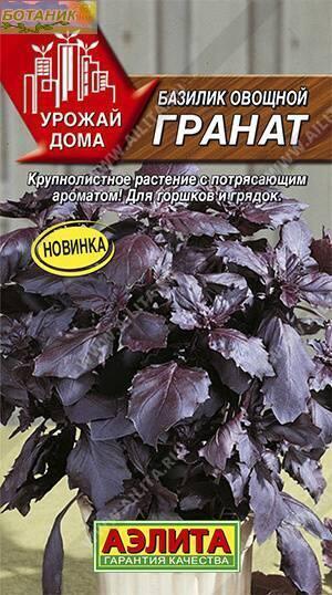 Купить оптом в Ботанике семена Базилик Гранат овощной Аэл бренд Аэлита