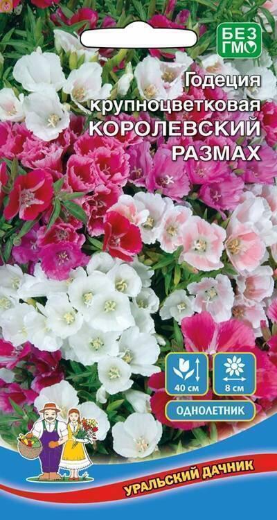 Купить оптом в Ботанике семена Годеция Королевсий Размах УД бренд Уральский дачник