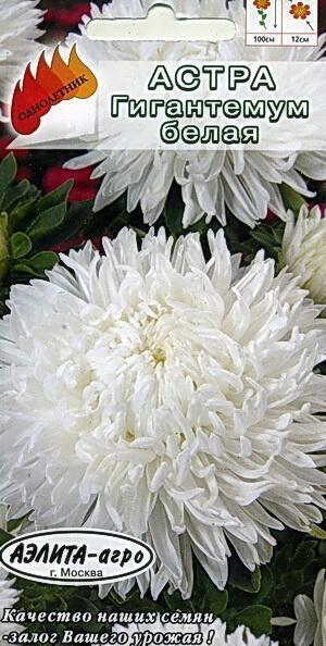 Купить оптом в Ботанике семена Астра Гигантемум белая Аэл бренд Аэлита