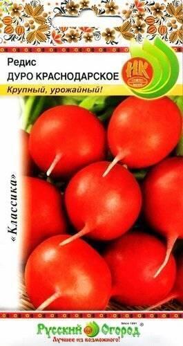 Купить оптом в Ботанике семена Редис Дуро краснодарское НК бренд НК