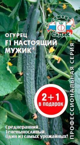 китайский огурец настоящий мужик. огурцы мужское достоинство сорт. огурцы настоящий мужчина. семена огурец настоящий мужик f1. огурец настоящий полковник ман.