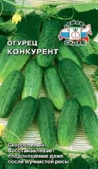Купить оптом в Ботанике семена Огурец Конкурент Сед бренд СеДеК