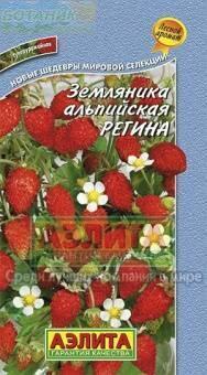 Купить оптом в Ботанике семена Земляника Регина альпийская F1 Аэл бренд Аэлита