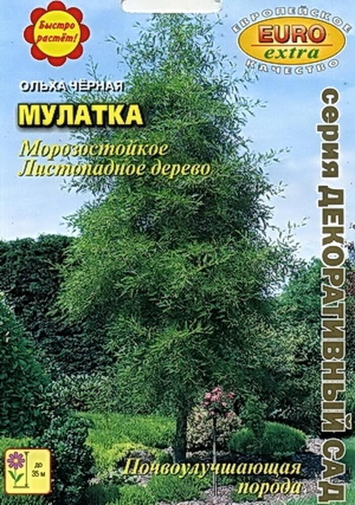Купить оптом в Ботанике семена Ольха Мулатка черная БП Аэл бренд Аэлита