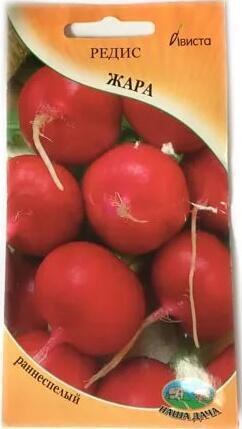 Купить оптом в Ботанике семена Редис Жара Ав бренд Ависта