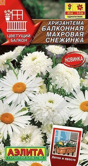 Купить оптом в Ботанике семена Хризантема Снежинка махровая балконная Аэл бренд Аэлита