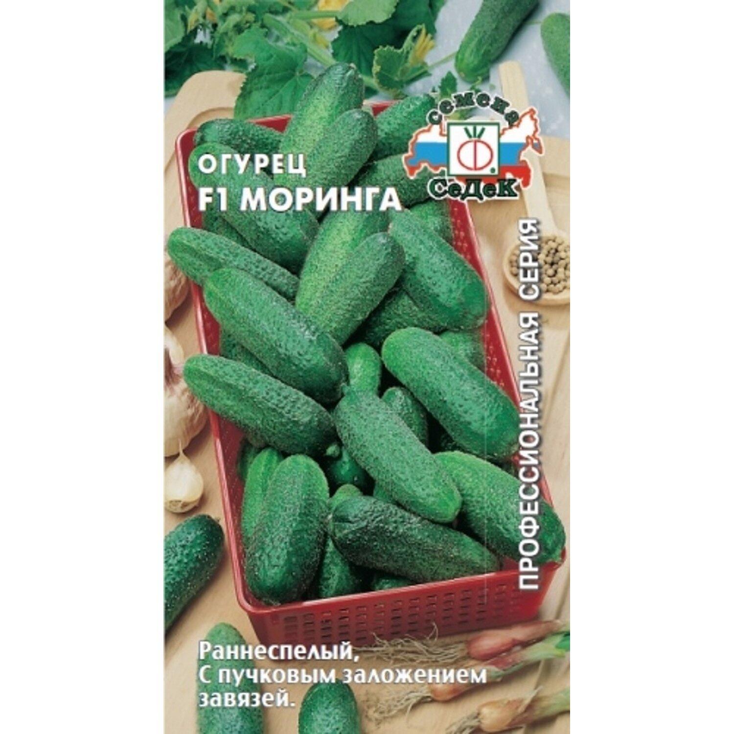 Купить оптом в Ботанике семена Огурец Моринга F1 Сед бренд СеДеК