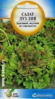 Купить оптом в Ботанике семена Салат Луз Лив ССО бренд Сортсемовощ