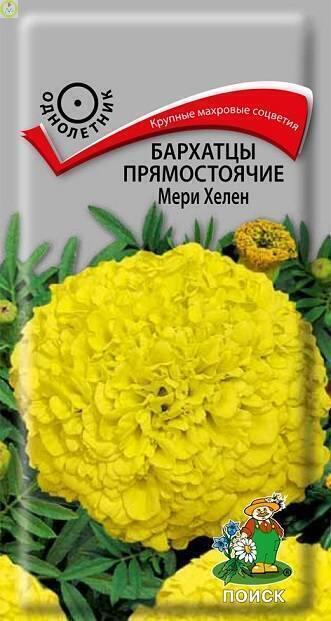 Купить оптом в Ботанике семена Бархатцы Мери Хелен прямостоячие Поиск бренд Поиск