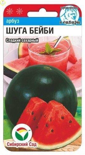 Купить оптом в Ботанике семена Арбуз Шуга Бейби СС бренд Сиб.сад